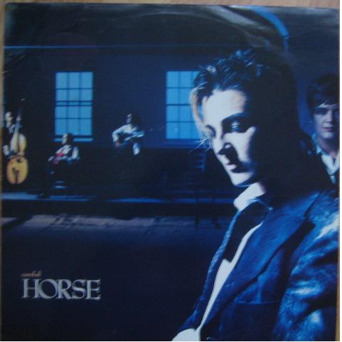 Horse (3) - Careful
