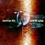Human Fly - Urbi Et Orbit