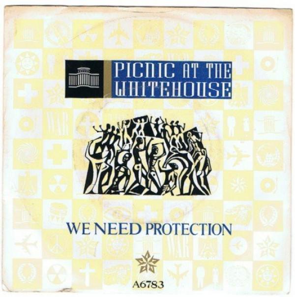 Picnic At The Whitehouse - We Need Protection