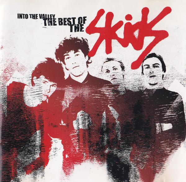 Skids - Skids Into The Valley: The Best Of The Skids