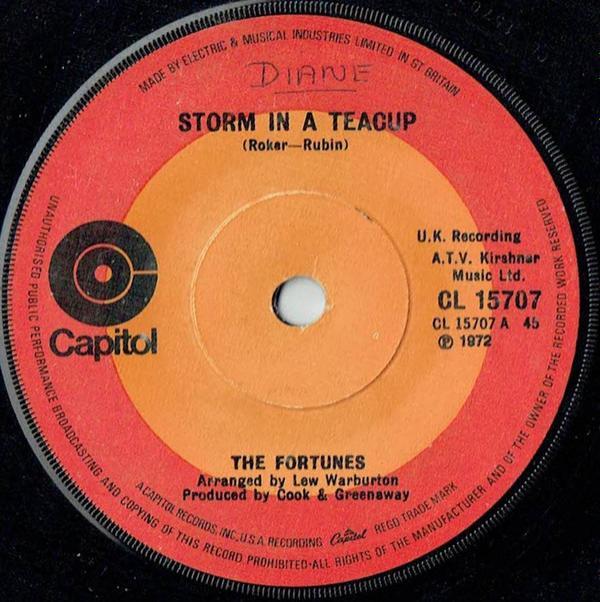 The Fortunes - Storm In A Teacup